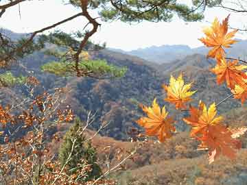 探索管家婆彩票，全方位理解與優(yōu)化策略，探索彩票管家婆，全方位理解與優(yōu)化策略指南