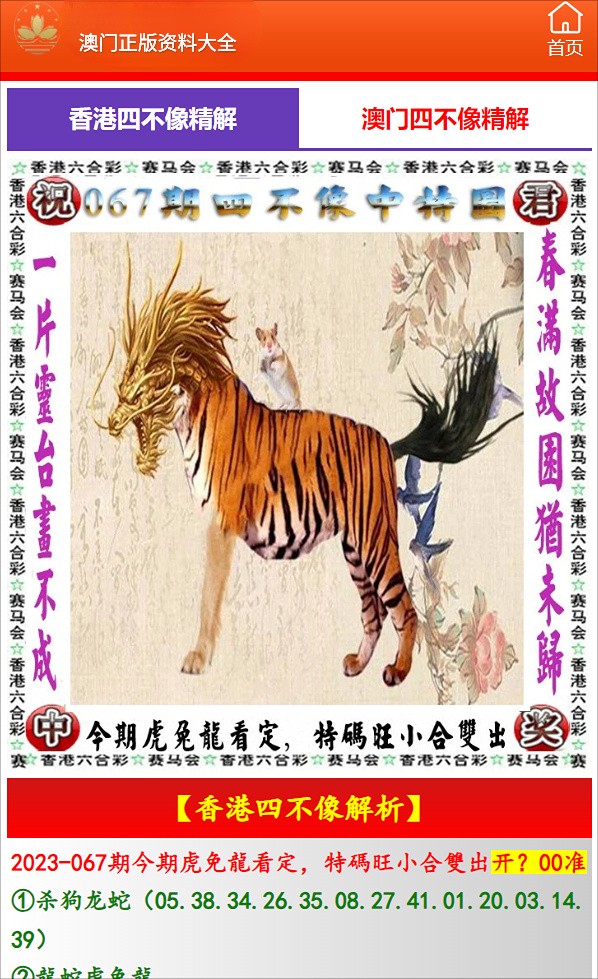 澳門一肖一碼一待一中四不像——揭秘背后的秘密，澳門一肖一碼背后的秘密揭秘