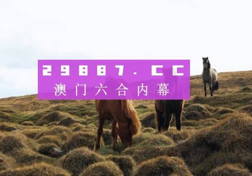 澳門今晚開獎什么，探索彩票背后的秘密與策略，澳門彩票開獎探索，秘密與策略揭秘