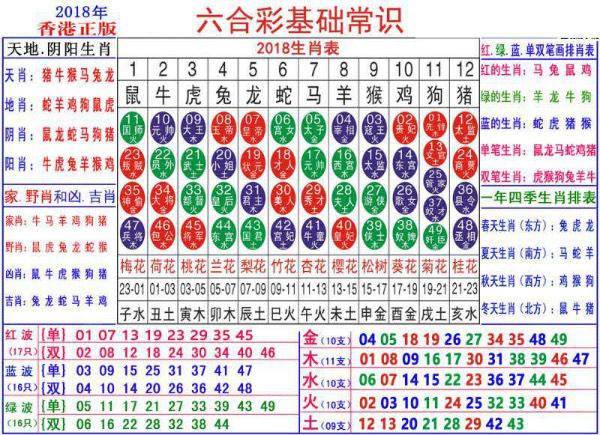 探索未來(lái)的奧秘，2025新澳門生肖卡，揭秘未來(lái)奧秘，2025新澳門生肖卡探秘