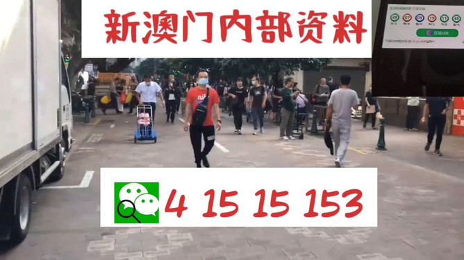 澳門管家婆100中，探索其背后的秘密與魅力，澳門管家婆背后的秘密與魅力探索