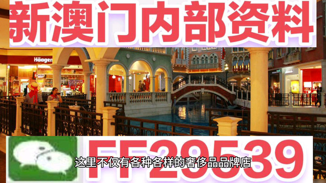 澳門未來展望，2025年的澳門展望，澳門未來展望，展望2025年澳門發(fā)展藍(lán)圖