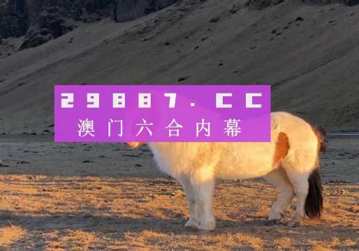 澳門彩之www.04812com探索與體驗(yàn)，澳門彩之www.04812com，探索與沉浸式體驗(yàn)