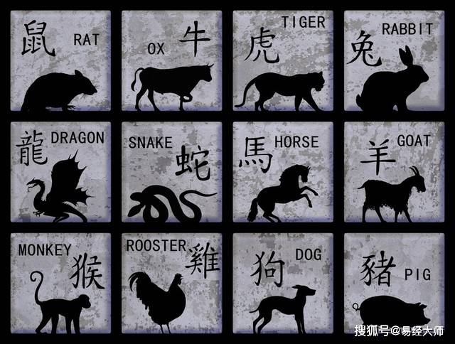 新澳特碼，羊?；⒏鲾?shù)10——揭秘背后的奧秘與策略，揭秘新澳特碼背后的奧秘與策略，羊牛虎各數(shù)之謎