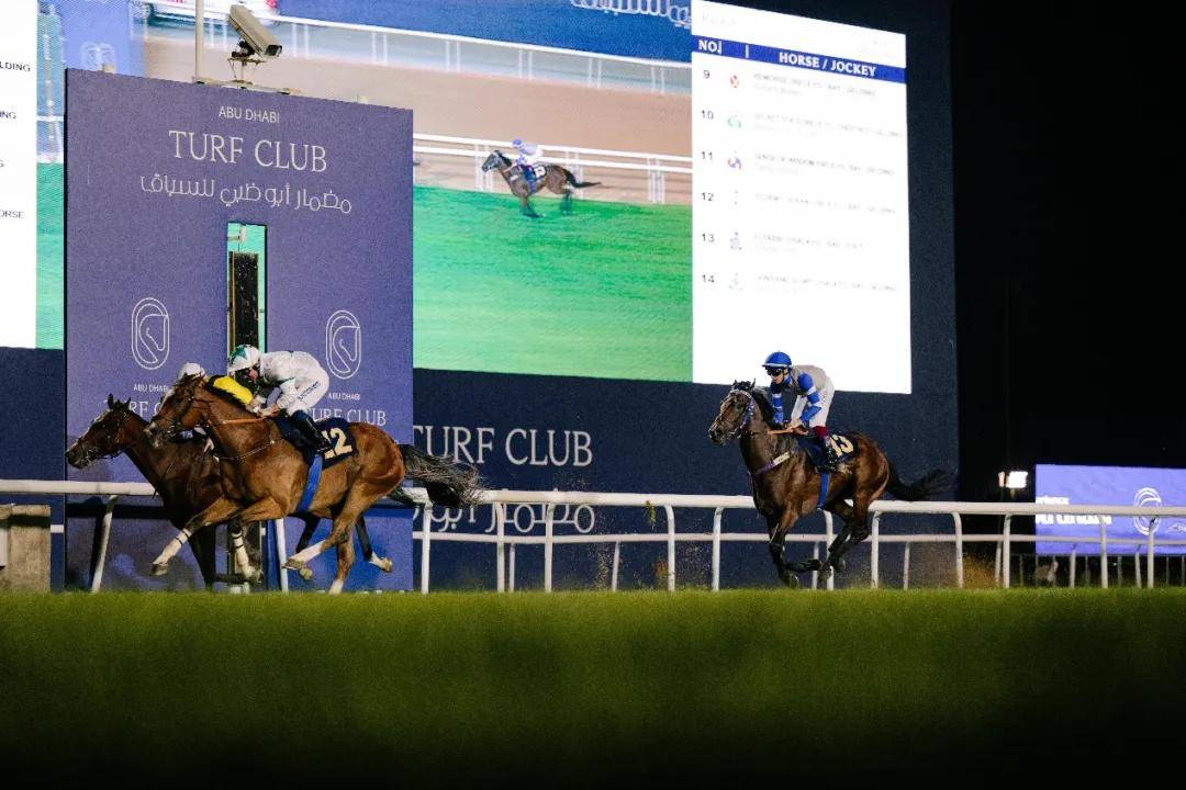 澳門特馬今晚開獎一，探索彩票背后的秘密與期待，澳門特馬今晚開獎，揭秘彩票背后的秘密與期待大獎的激動心情