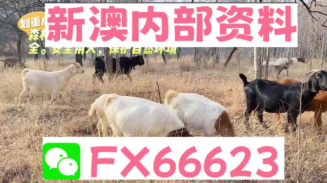 探索2005新澳正版兔費(fèi)大全，一站式資源指南，探索全新正版兔費(fèi)資源寶庫，一站式資源指南 2005 新澳正版大全