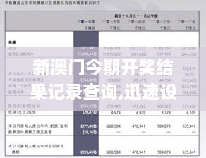 新澳門歷史記錄查詢大全，澳門歷史記錄查詢大全，探索過去，展望未來