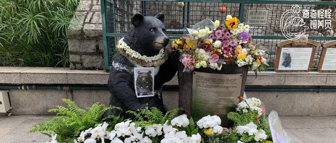 澳門彩票開獎資料，探索未來的2025年開獎數據，澳門彩票未來趨勢解析，2025年開獎數據展望