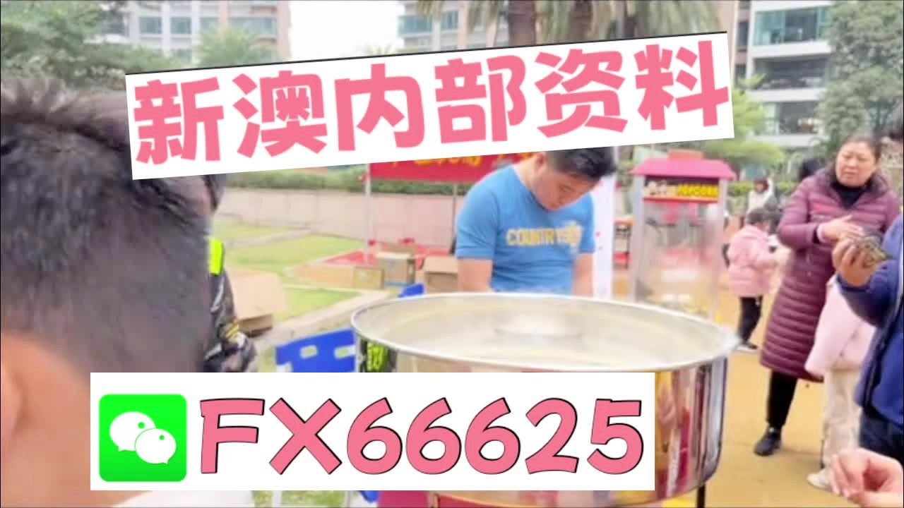 澳門乾坤寶典與最新資料大全，探索未來(lái)的奧秘（2025新澳展望），澳門乾坤寶典與最新資料大全，探索未來(lái)奧秘，展望新澳未來(lái)（2025）
