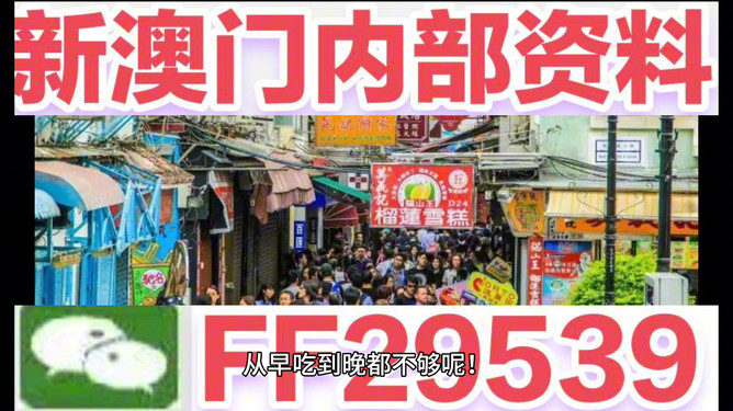 澳門今晚開特馬，探索背后的故事與秘密，澳門特馬背后的故事與秘密探索