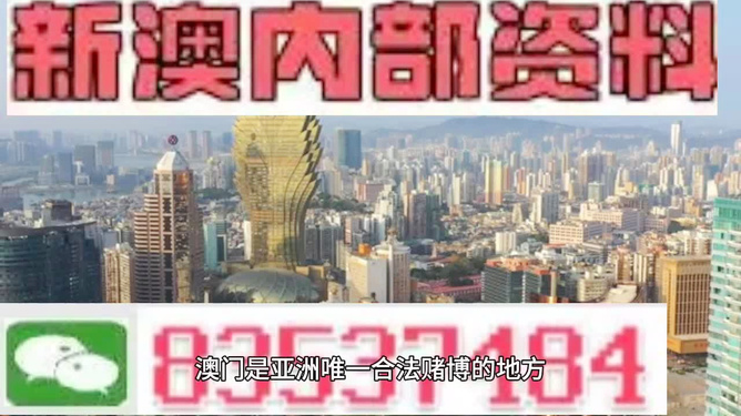 澳門精準(zhǔn)免費(fèi)資料大全，探索與揭秘，澳門精準(zhǔn)免費(fèi)資料大全，揭秘與探索之旅