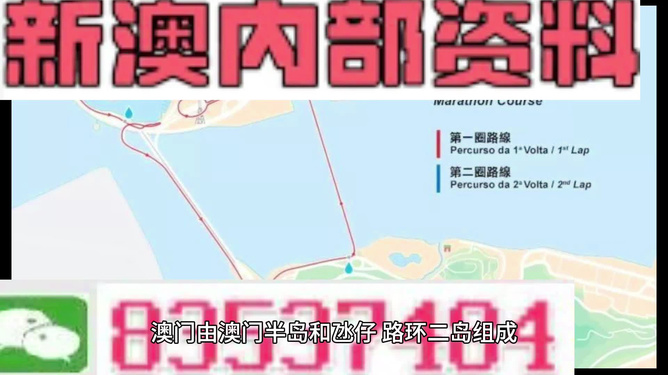 新澳那些殺料準(zhǔn)網(wǎng)址，一網(wǎng)打盡最新情報，新澳最新情報一網(wǎng)打盡，精準(zhǔn)殺料準(zhǔn)網(wǎng)址揭秘