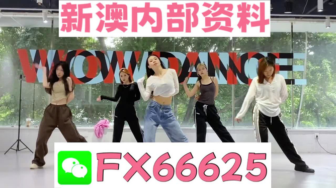 澳門今晚必開一肖，揭秘生肖彩票的魅力與策略，澳門生肖彩票揭秘，必開一肖的魅力與策略指南