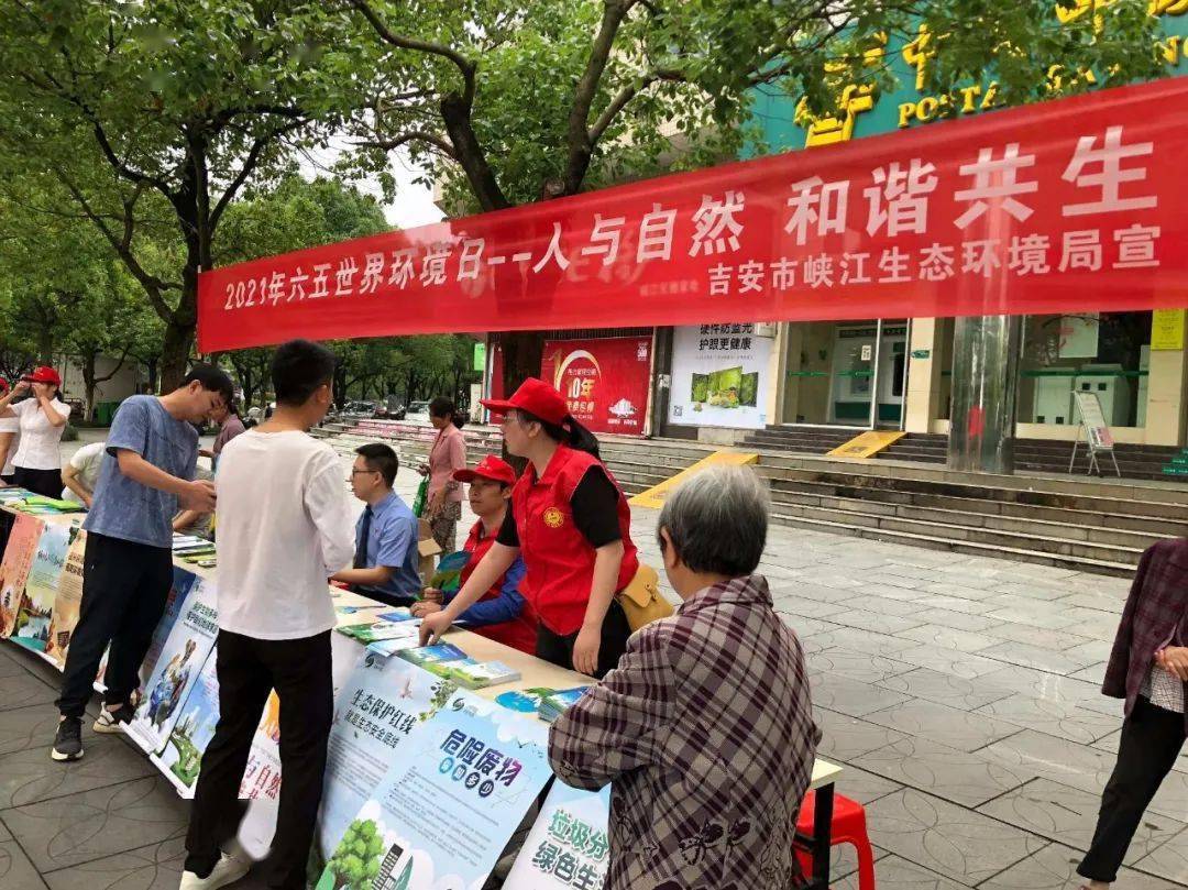 六月五號澳門開獎結(jié)果全面解析，六月五號澳門開獎結(jié)果深度解析