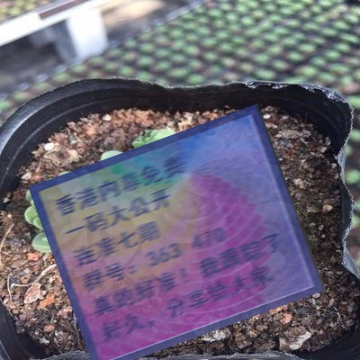 關(guān)于三肖賠多少錢的全面解析，三肖賠款金額全面解析