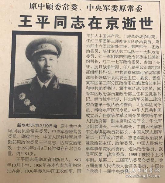 王王中王平特一肖，深度解析與SEO優(yōu)化策略，王王中王平特一肖深度解析與SEO優(yōu)化策略探討