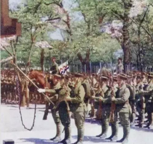 中國(guó)陸軍軍旗，歷史、意義與優(yōu)化SEO策略，中國(guó)陸軍軍旗，歷史意義與SEO策略優(yōu)化探討