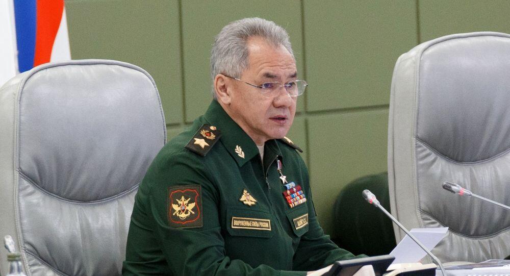 俄防長提議擴軍，背景、意義與影響，俄防長擴軍提議，背景分析、意義及影響探討