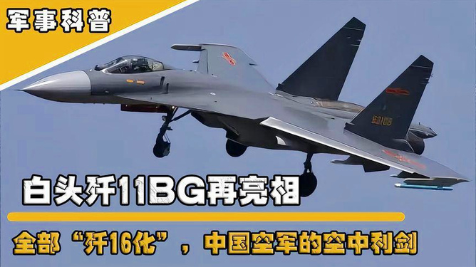 殲-11BG戰(zhàn)斗機，揭秘其所屬檔次與卓越性能，揭秘殲-11BG戰(zhàn)斗機所屬檔次與卓越性能特點