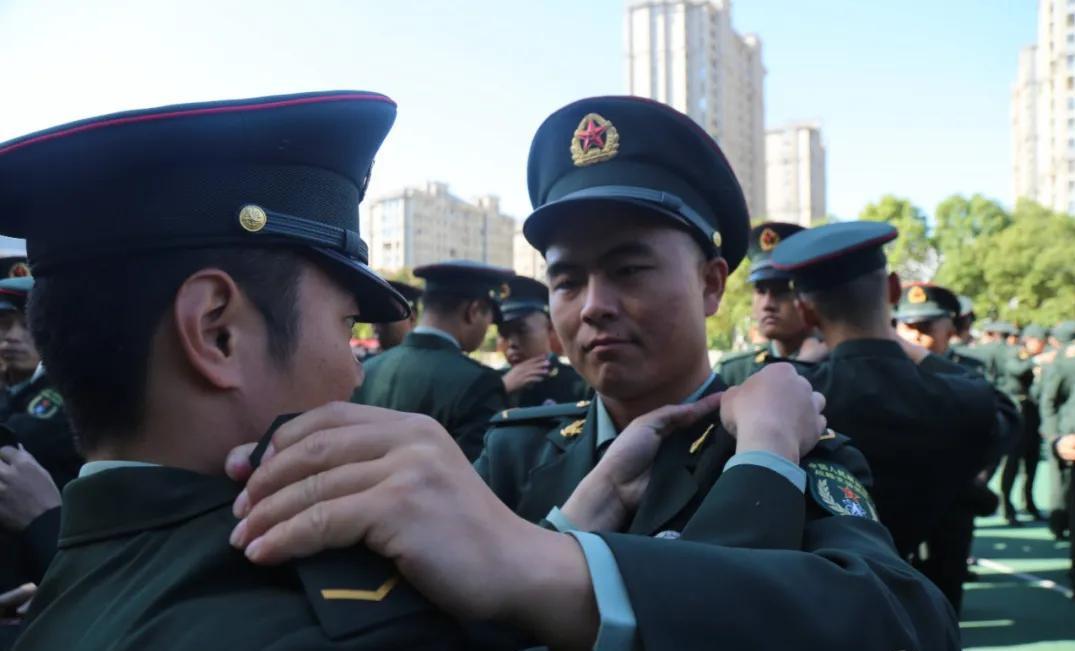 關于大學生入伍政策的深度解讀，2020年最新動態(tài)與趨勢分析，深度解讀大學生入伍政策，最新動態(tài)與趨勢分析（2020年）