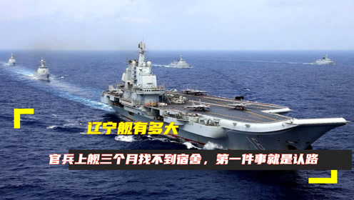 遼寧艦尺寸詳解，中國海軍巨艦的雄偉與力量，遼寧艦尺寸揭秘，中國海軍巨艦的雄偉與力量展現(xiàn)