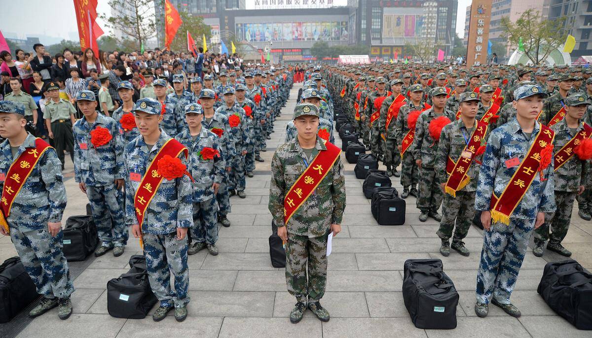 本科生參軍的條件、待遇及其影響，本科生參軍，條件、待遇與影響解析
