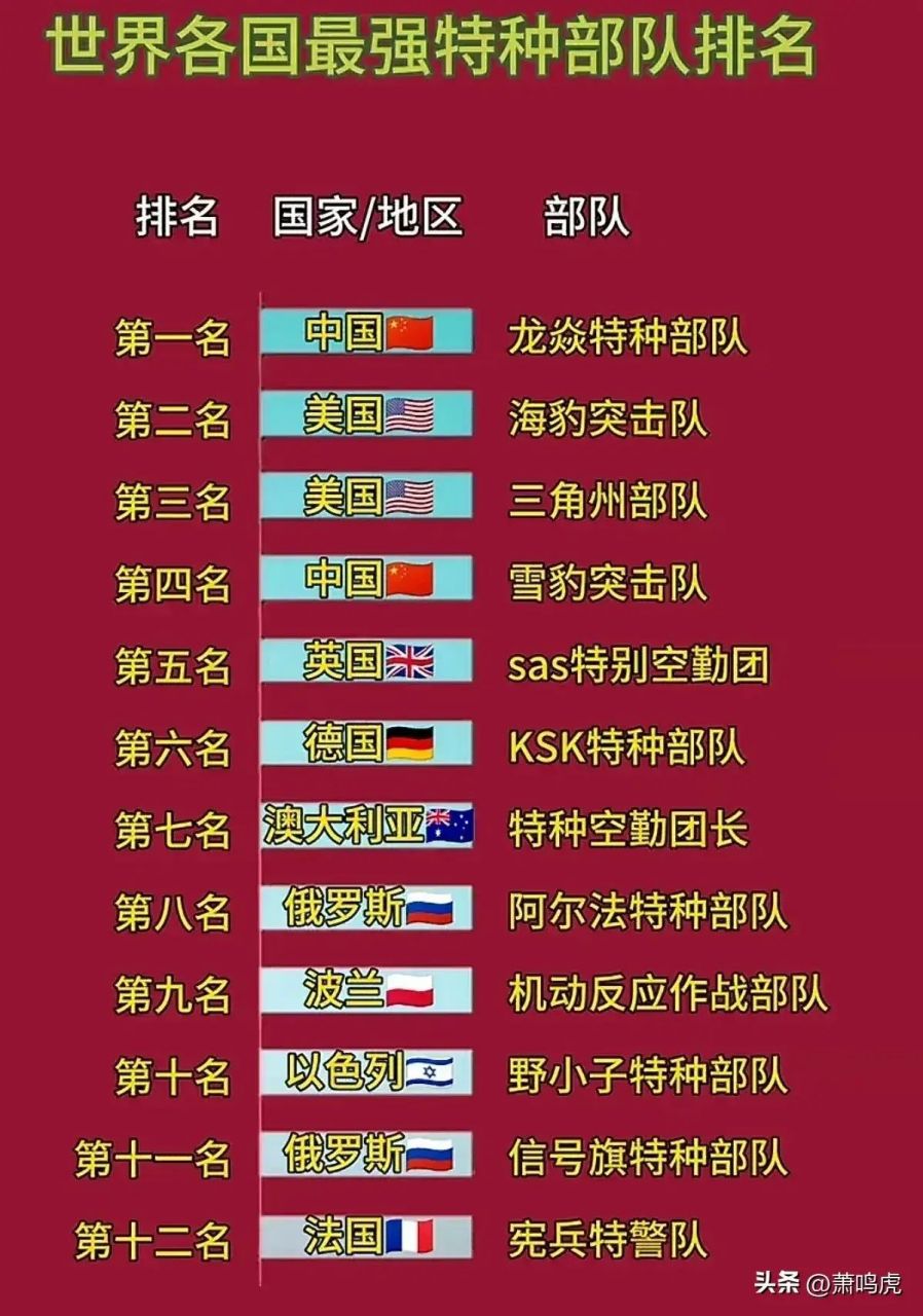 中國(guó)最強(qiáng)特種部隊(duì)第一名是誰(shuí)？深度解析中國(guó)特種部隊(duì)領(lǐng)軍力量，深度解析，中國(guó)最強(qiáng)特種部隊(duì)領(lǐng)軍力量，究竟誰(shuí)是第一名？