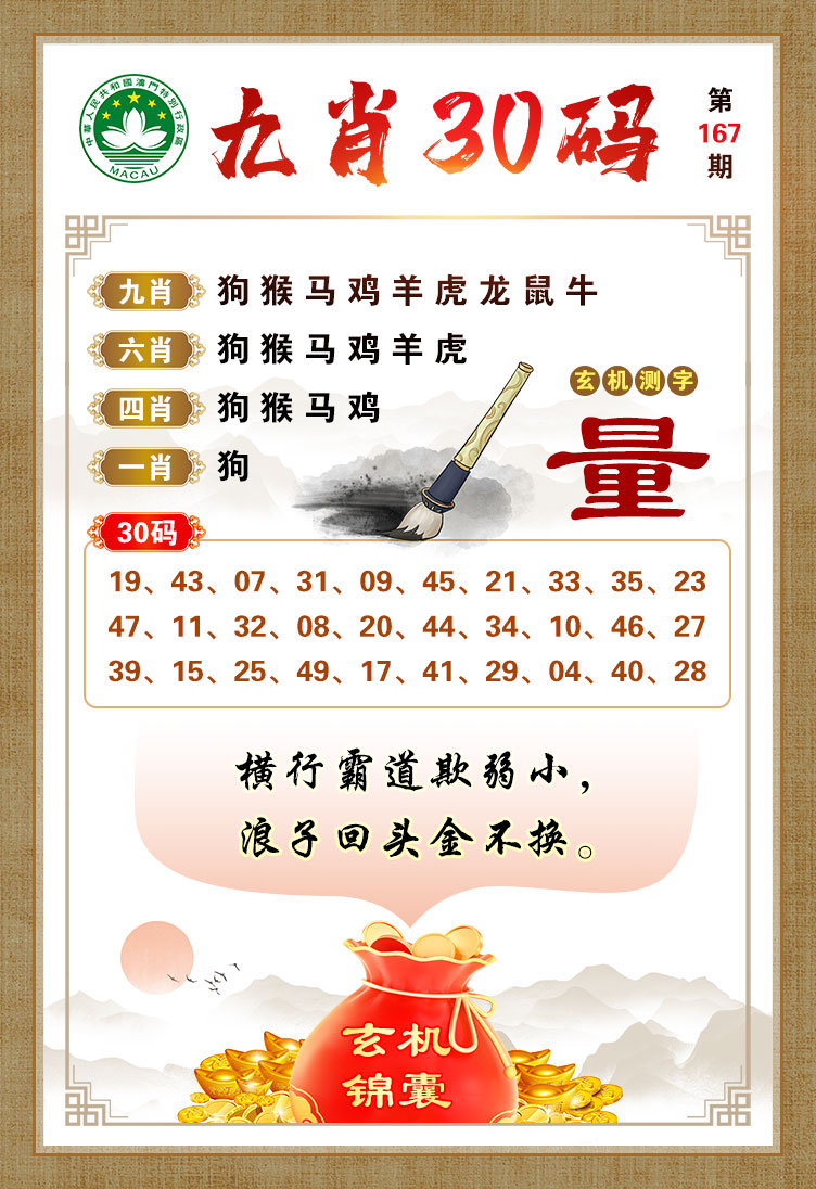 王中王019指一生肖——深度解析與探索，王中王019生肖揭秘，深度解析與探索之旅