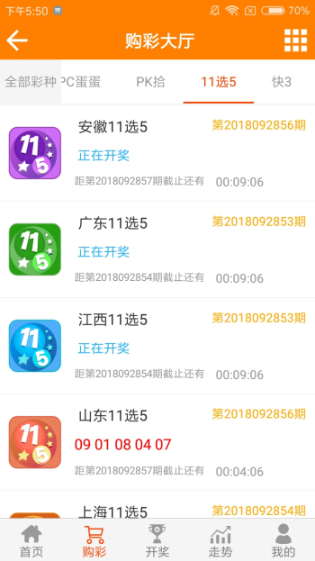 王中王資料一肖中特co，深度解析與SEO優(yōu)化策略，王中王資料一肖中特co，深度解析與SEO優(yōu)化策略全攻略