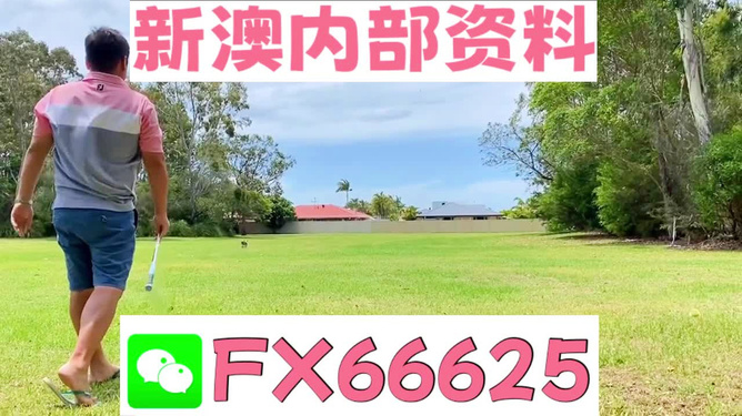 王中王馬報網(wǎng)站——揭秘必中一肖的奧秘，王中王馬報網(wǎng)站揭秘，必中一肖的奧秘大揭秘