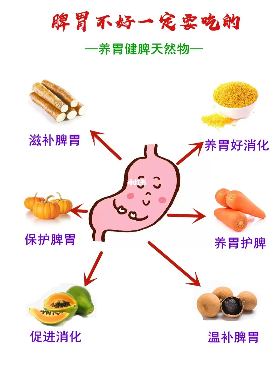 養(yǎng)胃秘訣，胃不好吃什么最適宜？，養(yǎng)胃秘訣，適宜胃不好的食物推薦與飲食指南