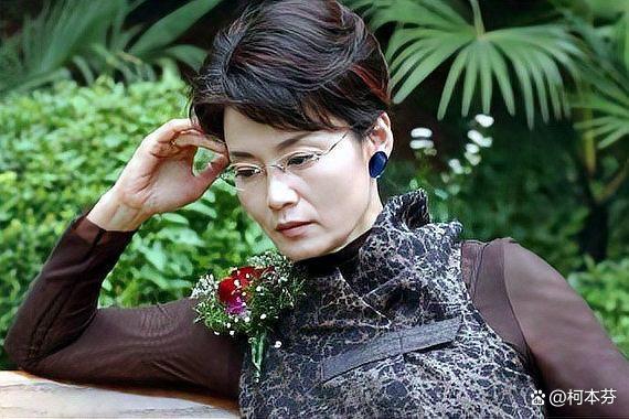 潘虹主演的所有電視劇，演藝生涯的璀璨篇章，潘虹演藝生涯，璀璨電視劇篇章回顧