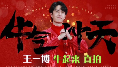 王中王一肖中特一馬救世，探尋背后的故事與奧秘，探尋王中王一肖中特背后的故事與奧秘，一馬救世之旅