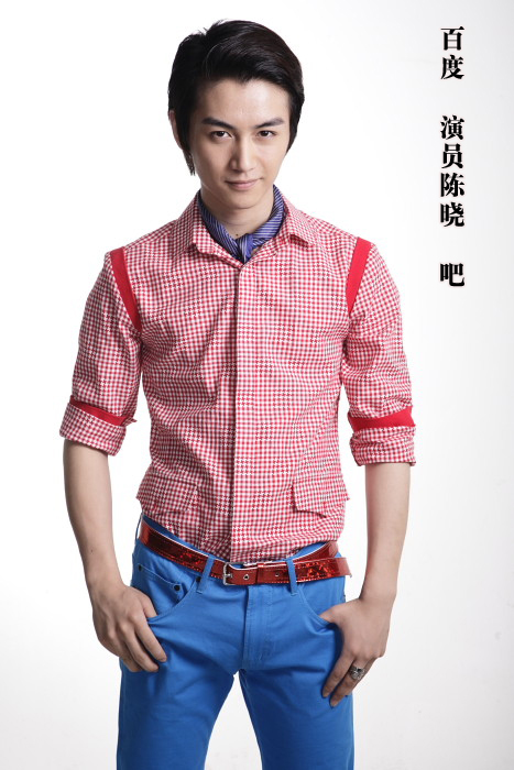 陳曉個(gè)人資料簡(jiǎn)介及身高信息深度解析，陳曉個(gè)人檔案與身高信息全面解析