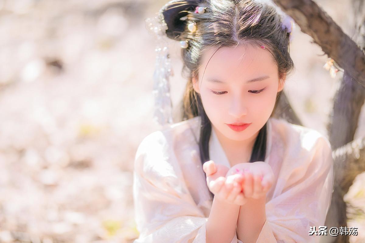 揭秘劉伯溫四不像期期一肖的神秘面紗，劉伯溫四不像期期一肖神秘面紗揭秘
