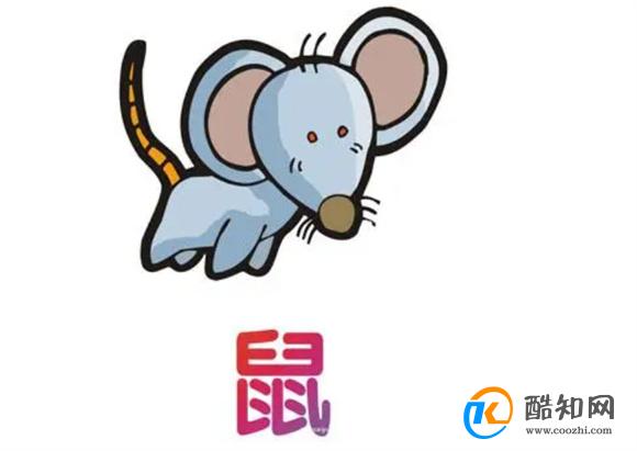 揭秘背后的秘密與真相探索
