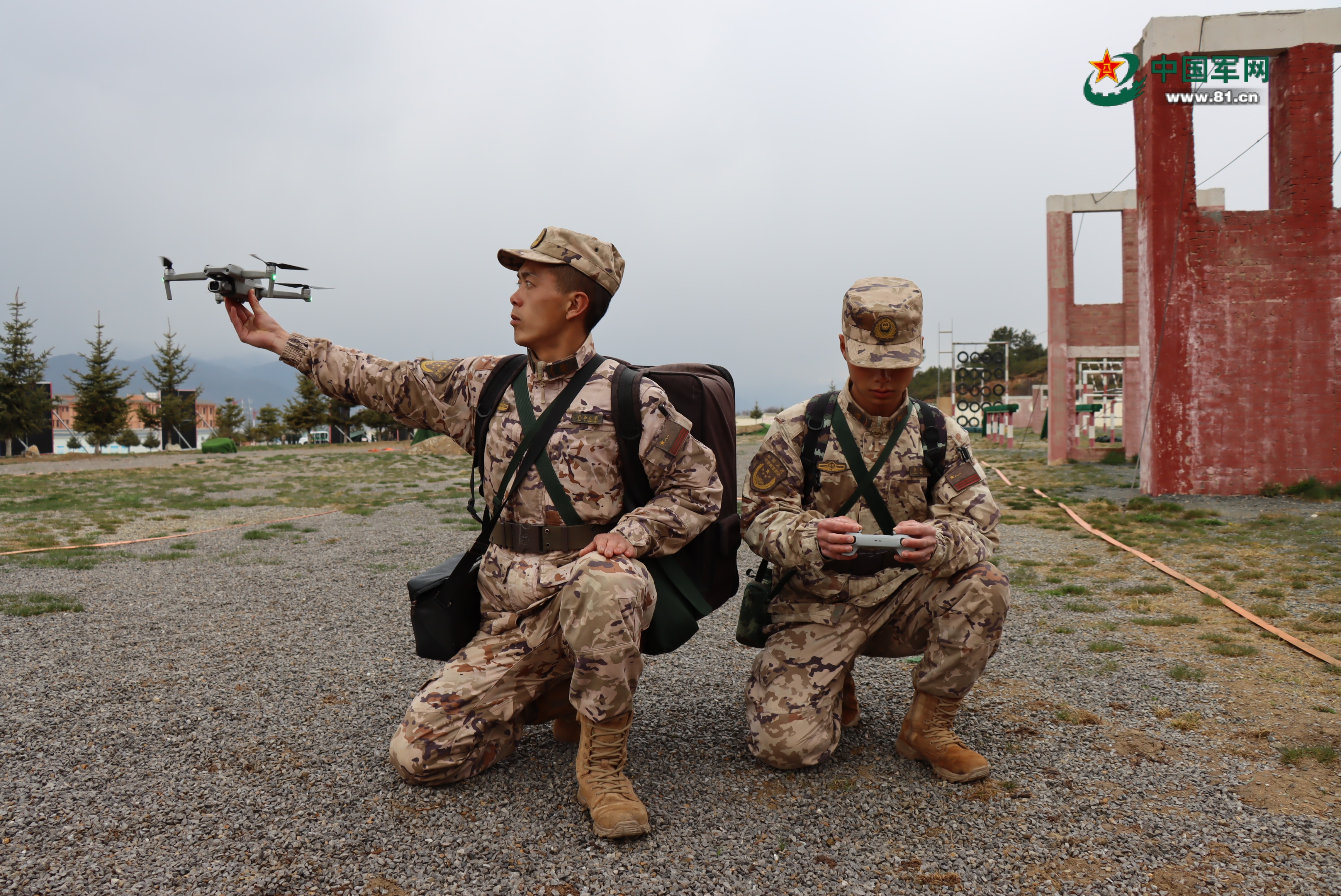 關(guān)于武警機動師改總隊后的去向解析——探尋新的使命與職責(zé)，武警機動師改總隊后的使命與職責(zé)解析，探尋新的方向與未來