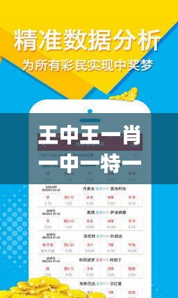 王中王一肖一馬期期中中，深度解讀與SEO策略，王中王一肖一馬期期中深度解讀與SEO策略探討