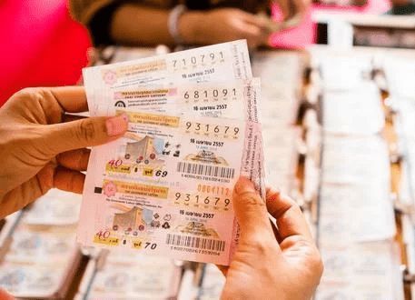 揭秘香港平特一肖——探尋王中王的獨特策略，揭秘香港平特一肖之王中王獨特策略揭秘
