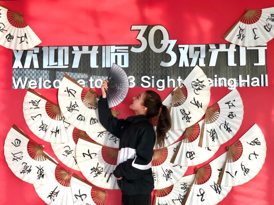 王中王303期指一生肖，揭秘背后的奧秘與生肖文化深度關(guān)聯(lián)，揭秘生肖文化背后的奧秘，王中王303期生肖揭秘與深度關(guān)聯(lián)