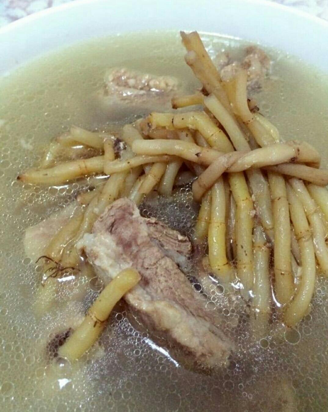 魚腥草