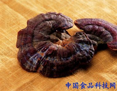 靈芝是否能夠幫助提高男性性功能，深入解析，靈芝對男性性功能的潛在影響，深入解析與探討