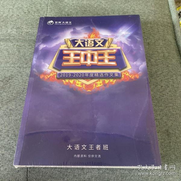 揭秘2019王中王資料一肖，傳奇背后的故事，揭秘傳奇背后的故事，王中王資料一肖探秘（2019版）