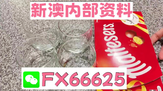 澳門49圖正版資料，探索正版數(shù)據(jù)資料的魅力與價值，澳門正版資料探索，數(shù)據(jù)資料的魅力與價值揭秘