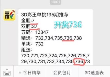揭秘63期王中王一肖中特背后的秘密，揭秘王中王一肖中特背后的秘密與策略