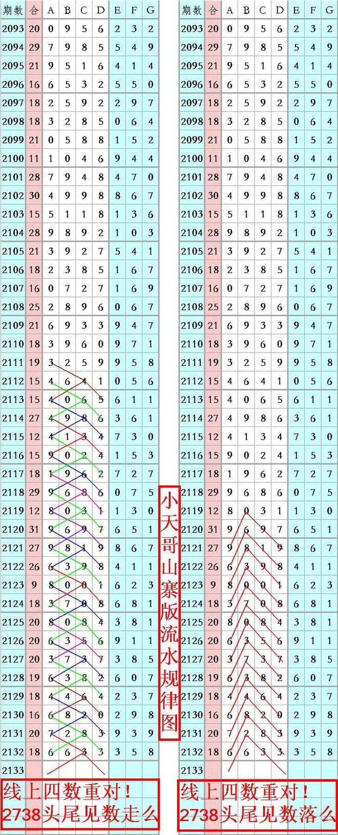 王中王資料一肖正特馬，深度解析與探索，王中王資料一肖正特馬深度解析與探索揭秘