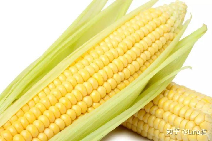 澳門 第85頁