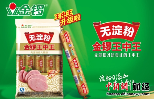 王中王王中王一解一肖，深度解析與SEO洞察，王中王深度解析與SEO洞察揭秘一解一肖的秘密