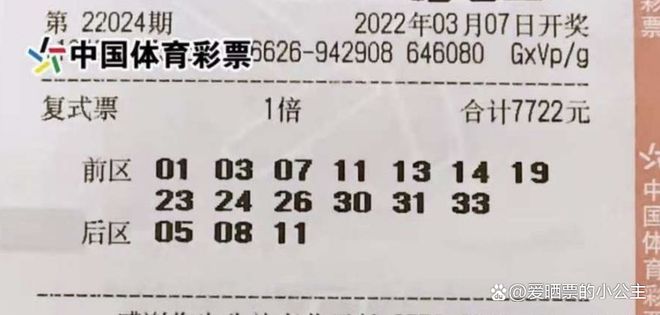 新澳2025年天天開好彩大樂透，夢想與希望的力量，新澳2025年天天開好彩大樂透，夢想與希望的力量驅動未來