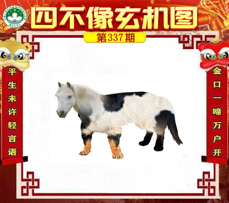 澳門一肖一碼一待一中四不像——揭秘與探索，澳門神秘一肖一碼，揭秘與探索一待一中四不像的秘密